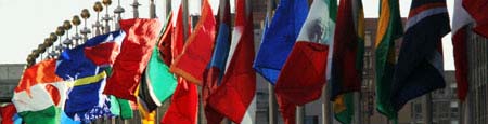 National flagdag